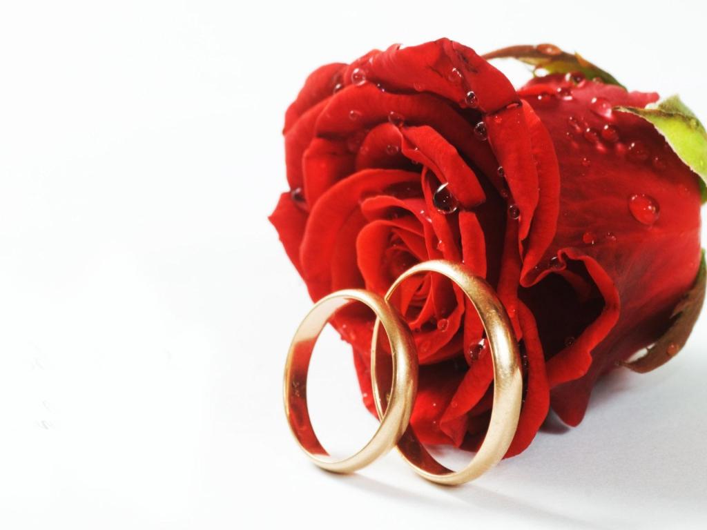 love and marriage rose wedding bands